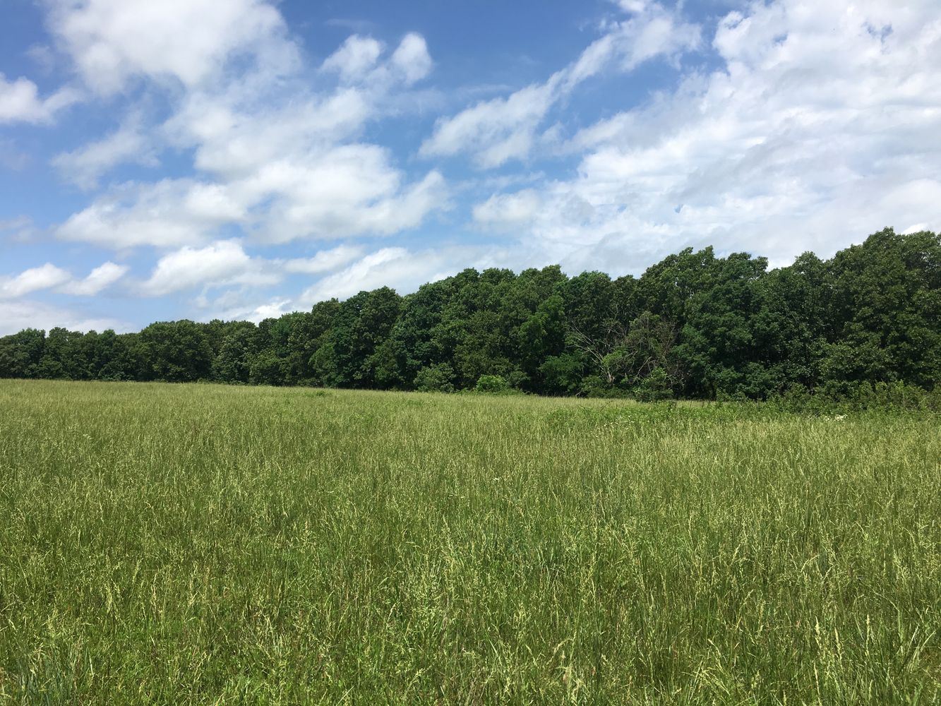 4897 & 4878 Norman Drive, Hartville, MO 65667